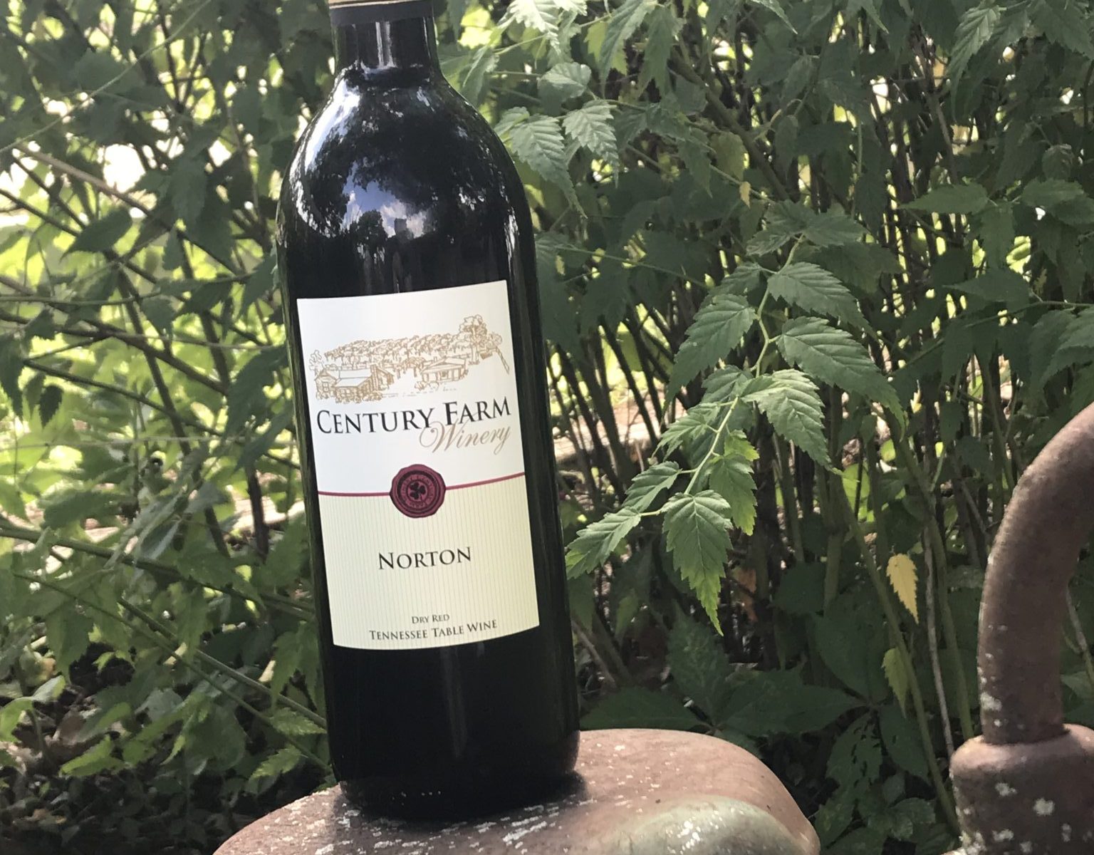 August 2018 Wine Of The Month