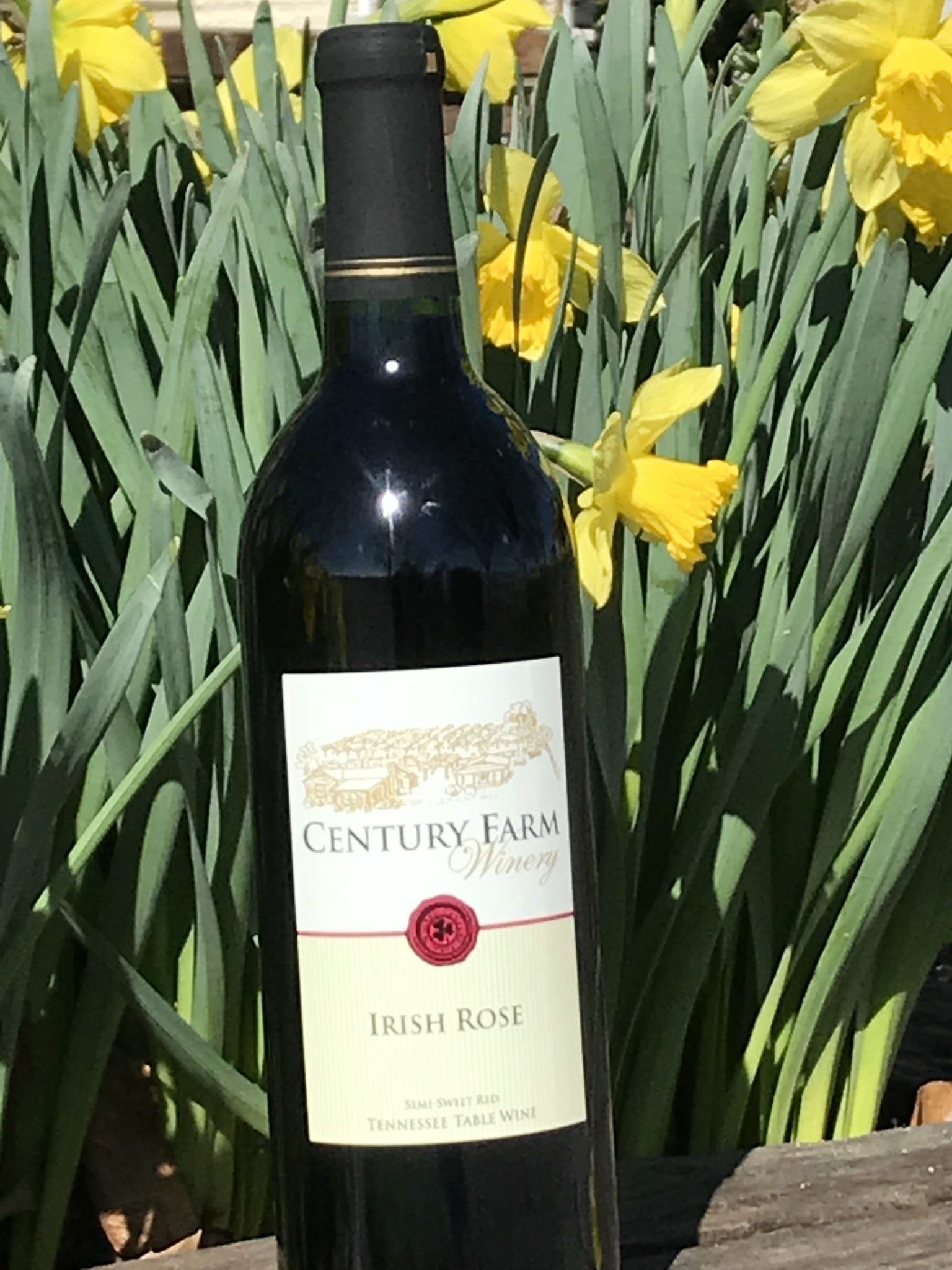 March 2019 Wine Of The Month