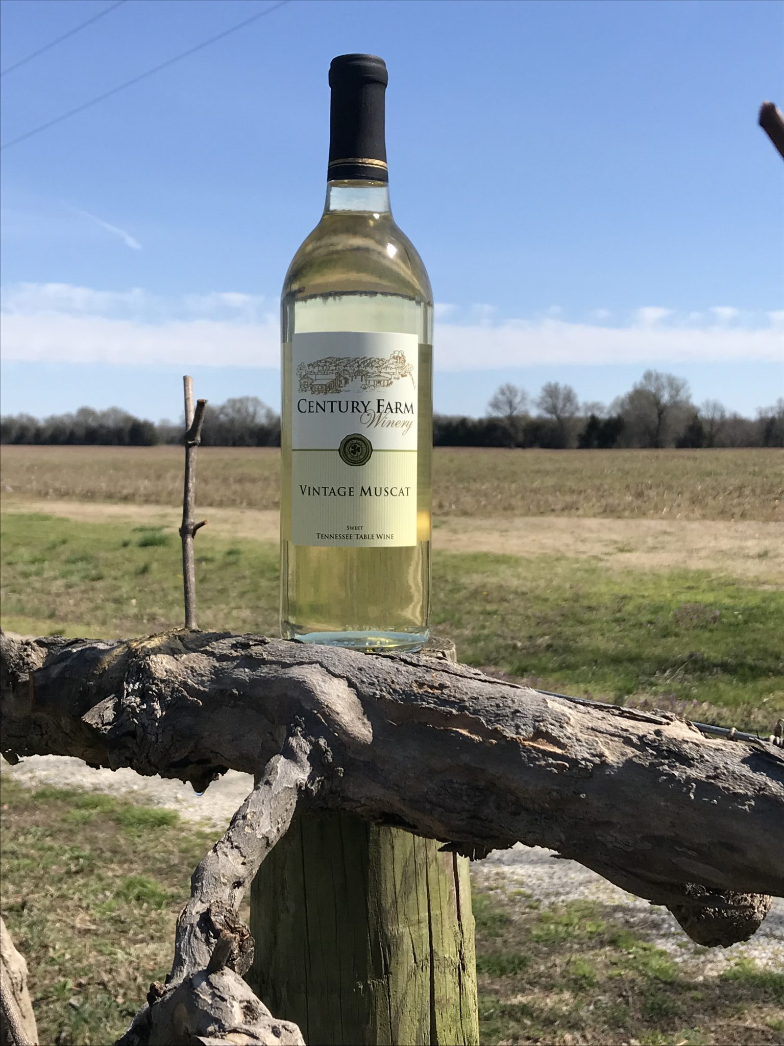 April 2019 Wine Of The Month