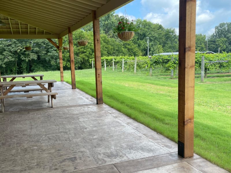 backproch-scaled (1)